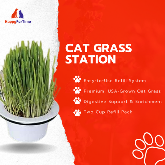 Cat Grass Grow Station